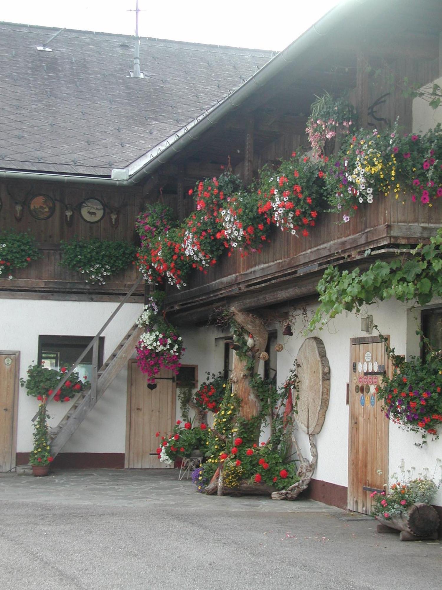 Ferienhof Unterfuehrholzergut Klaus an der Pyhrnbahn Ngoại thất bức ảnh